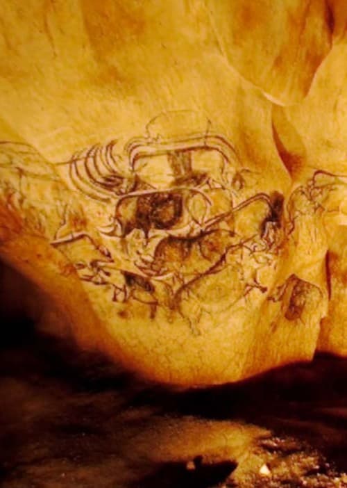 La Grotte Chauvet
